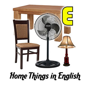 Home Things in English Thumbs