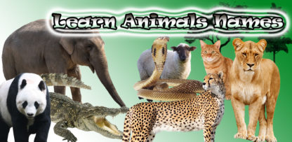 Learn Animals Name Animal Sounds Animals Pictures (1)