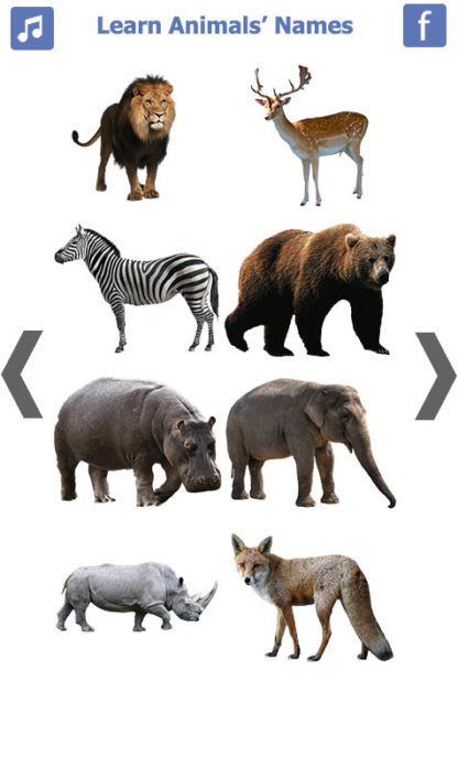 Learn Animals Name Animal Sounds Animals Pictures (2)