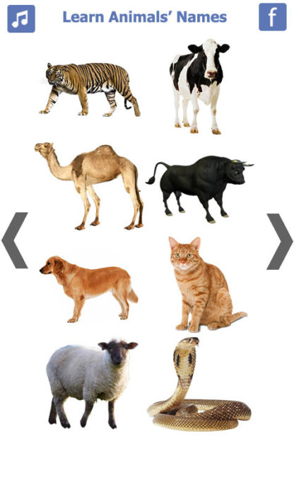 Learn Animals Name Animal Sounds Animals Pictures (3)