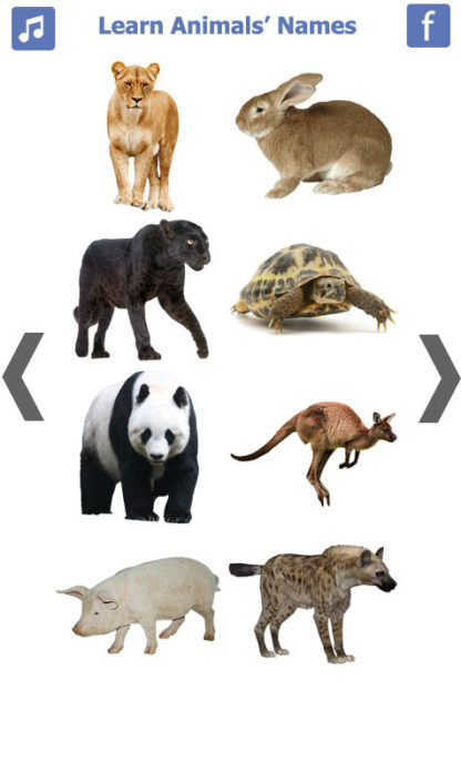 Learn Animals Name Animal Sounds Animals Pictures (5)