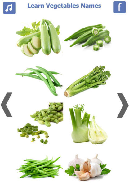 Learn Vegetables Name (4)
